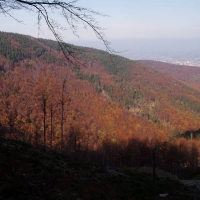(45/50): Wycieczka turystyczna Dbowiec - Szyndzielnia - Klimczok - Kozia Gra 12.10.2008r