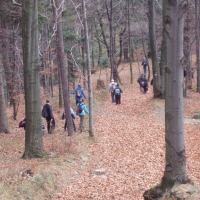 (11/68): Wycieczka: Straconka - Czupel - Gaiki - Prze. u Panienki - Groniczki - Hrobacza  ka - Porbka - Zamek na Woku. 16.11.2008r.