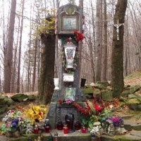 (12/68): Wycieczka: Straconka - Czupel - Gaiki - Prze. u Panienki - Groniczki - Hrobacza  ka - Porbka - Zamek na Woku. 16.11.2008r.