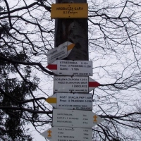 (13/68): Wycieczka: Straconka - Czupel - Gaiki - Prze. u Panienki - Groniczki - Hrobacza  ka - Porbka - Zamek na Woku. 16.11.2008r.