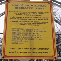 (24/68): Wycieczka: Straconka - Czupel - Gaiki - Prze. u Panienki - Groniczki - Hrobacza  ka - Porbka - Zamek na Woku. 16.11.2008r.
