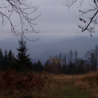 (29/68): Wycieczka: Straconka - Czupel - Gaiki - Prze. u Panienki - Groniczki - Hrobacza  ka - Porbka - Zamek na Woku. 16.11.2008r.