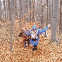 (31/68): Wycieczka: Straconka - Czupel - Gaiki - Prze. u Panienki - Groniczki - Hrobacza  ka - Porbka - Zamek na Woku. 16.11.2008r.