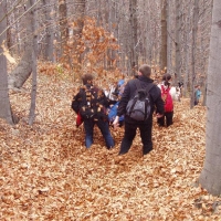 (32/68): Wycieczka: Straconka - Czupel - Gaiki - Prze. u Panienki - Groniczki - Hrobacza  ka - Porbka - Zamek na Woku. 16.11.2008r.