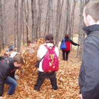 (33/68): Wycieczka: Straconka - Czupel - Gaiki - Prze. u Panienki - Groniczki - Hrobacza  ka - Porbka - Zamek na Woku. 16.11.2008r.