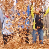 (34/68): Wycieczka: Straconka - Czupel - Gaiki - Prze. u Panienki - Groniczki - Hrobacza  ka - Porbka - Zamek na Woku. 16.11.2008r.