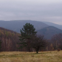 (38/68): Wycieczka: Straconka - Czupel - Gaiki - Prze. u Panienki - Groniczki - Hrobacza  ka - Porbka - Zamek na Woku. 16.11.2008r.