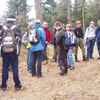 (42/68): Wycieczka: Straconka - Czupel - Gaiki - Prze. u Panienki - Groniczki - Hrobacza  ka - Porbka - Zamek na Woku. 16.11.2008r.