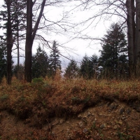 (43/68): Wycieczka: Straconka - Czupel - Gaiki - Prze. u Panienki - Groniczki - Hrobacza  ka - Porbka - Zamek na Woku. 16.11.2008r.