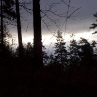 (44/68): Wycieczka: Straconka - Czupel - Gaiki - Prze. u Panienki - Groniczki - Hrobacza  ka - Porbka - Zamek na Woku. 16.11.2008r.