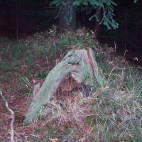 (45/68): Wycieczka: Straconka - Czupel - Gaiki - Prze. u Panienki - Groniczki - Hrobacza  ka - Porbka - Zamek na Woku. 16.11.2008r.