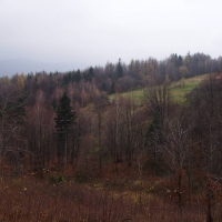 (46/68): Wycieczka: Straconka - Czupel - Gaiki - Prze. u Panienki - Groniczki - Hrobacza  ka - Porbka - Zamek na Woku. 16.11.2008r.