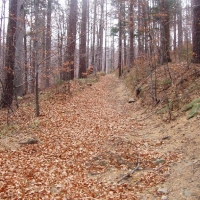 (47/68): Wycieczka: Straconka - Czupel - Gaiki - Prze. u Panienki - Groniczki - Hrobacza  ka - Porbka - Zamek na Woku. 16.11.2008r.