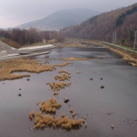 (55/68): Wycieczka: Straconka - Czupel - Gaiki - Prze. u Panienki - Groniczki - Hrobacza  ka - Porbka - Zamek na Woku. 16.11.2008r.