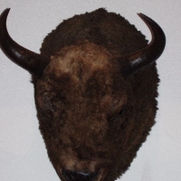 (32/147): Wycieczka: 