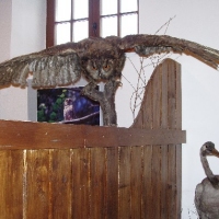 (34/147): Wycieczka: 
