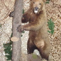 (38/147): Wycieczka: 