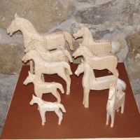 (49/147): Wycieczka: 