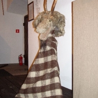 (52/147): Wycieczka: 