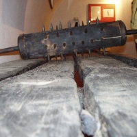 (96/147): Wycieczka: 