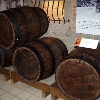 (131/147): Wycieczka: 