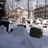 (77/83): Wycieczka: 