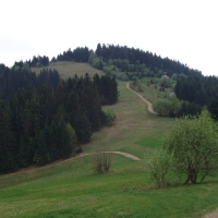 (12/191): Wycieczka turystyczna - Beskid �ywiecki Zwardo� - Wlk. Racza - Przegibek - Bendoszka Wlk. - S�l  2-3.05.2009r.