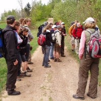 (17/191): Wycieczka turystyczna - Beskid �ywiecki Zwardo� - Wlk. Racza - Przegibek - Bendoszka Wlk. - S�l  2-3.05.2009r.