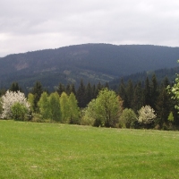 (24/191): Wycieczka turystyczna - Beskid �ywiecki Zwardo� - Wlk. Racza - Przegibek - Bendoszka Wlk. - S�l  2-3.05.2009r.