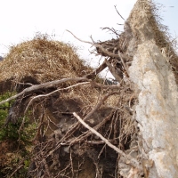 (25/191): Wycieczka turystyczna - Beskid �ywiecki Zwardo� - Wlk. Racza - Przegibek - Bendoszka Wlk. - S�l  2-3.05.2009r.