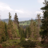 (30/191): Wycieczka turystyczna - Beskid �ywiecki Zwardo� - Wlk. Racza - Przegibek - Bendoszka Wlk. - S�l  2-3.05.2009r.