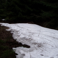 (32/191): Wycieczka turystyczna - Beskid �ywiecki Zwardo� - Wlk. Racza - Przegibek - Bendoszka Wlk. - S�l  2-3.05.2009r.