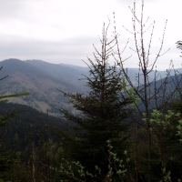 (33/191): Wycieczka turystyczna - Beskid �ywiecki Zwardo� - Wlk. Racza - Przegibek - Bendoszka Wlk. - S�l  2-3.05.2009r.