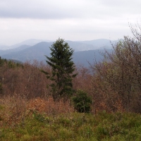 (35/191): Wycieczka turystyczna - Beskid �ywiecki Zwardo� - Wlk. Racza - Przegibek - Bendoszka Wlk. - S�l  2-3.05.2009r.