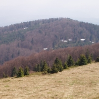 (46/191): Wycieczka turystyczna - Beskid �ywiecki Zwardo� - Wlk. Racza - Przegibek - Bendoszka Wlk. - S�l  2-3.05.2009r.