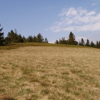 (48/191): Wycieczka turystyczna - Beskid �ywiecki Zwardo� - Wlk. Racza - Przegibek - Bendoszka Wlk. - S�l  2-3.05.2009r.