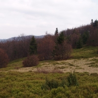 (49/191): Wycieczka turystyczna - Beskid �ywiecki Zwardo� - Wlk. Racza - Przegibek - Bendoszka Wlk. - S�l  2-3.05.2009r.