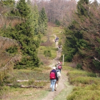 (52/191): Wycieczka turystyczna - Beskid �ywiecki Zwardo� - Wlk. Racza - Przegibek - Bendoszka Wlk. - S�l  2-3.05.2009r.