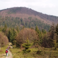 (53/191): Wycieczka turystyczna - Beskid �ywiecki Zwardo� - Wlk. Racza - Przegibek - Bendoszka Wlk. - S�l  2-3.05.2009r.