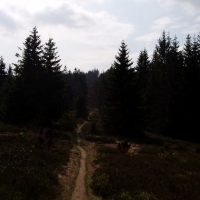 (54/191): Wycieczka turystyczna - Beskid �ywiecki Zwardo� - Wlk. Racza - Przegibek - Bendoszka Wlk. - S�l  2-3.05.2009r.