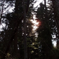 (59/191): Wycieczka turystyczna - Beskid �ywiecki Zwardo� - Wlk. Racza - Przegibek - Bendoszka Wlk. - S�l  2-3.05.2009r.