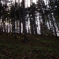 (60/191): Wycieczka turystyczna - Beskid �ywiecki Zwardo� - Wlk. Racza - Przegibek - Bendoszka Wlk. - S�l  2-3.05.2009r.