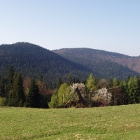 (84/191): Wycieczka turystyczna - Beskid �ywiecki Zwardo� - Wlk. Racza - Przegibek - Bendoszka Wlk. - S�l  2-3.05.2009r.