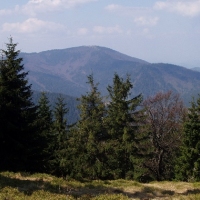 (107/191): Wycieczka turystyczna - Beskid �ywiecki Zwardo� - Wlk. Racza - Przegibek - Bendoszka Wlk. - S�l  2-3.05.2009r.
