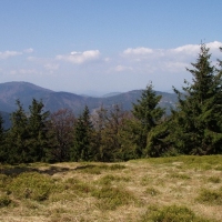 (108/191): Wycieczka turystyczna - Beskid �ywiecki Zwardo� - Wlk. Racza - Przegibek - Bendoszka Wlk. - S�l  2-3.05.2009r.