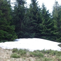 (113/191): Wycieczka turystyczna - Beskid �ywiecki Zwardo� - Wlk. Racza - Przegibek - Bendoszka Wlk. - S�l  2-3.05.2009r.