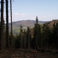 (114/191): Wycieczka turystyczna - Beskid �ywiecki Zwardo� - Wlk. Racza - Przegibek - Bendoszka Wlk. - S�l  2-3.05.2009r.
