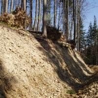 (116/191): Wycieczka turystyczna - Beskid �ywiecki Zwardo� - Wlk. Racza - Przegibek - Bendoszka Wlk. - S�l  2-3.05.2009r.