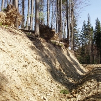 (117/191): Wycieczka turystyczna - Beskid �ywiecki Zwardo� - Wlk. Racza - Przegibek - Bendoszka Wlk. - S�l  2-3.05.2009r.