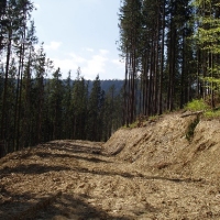 (118/191): Wycieczka turystyczna - Beskid �ywiecki Zwardo� - Wlk. Racza - Przegibek - Bendoszka Wlk. - S�l  2-3.05.2009r.